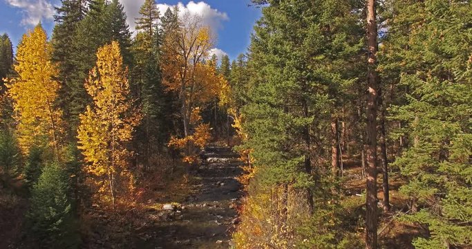 Aerial Drone shot panning down a creek or stream in the fall or autumn in Montana