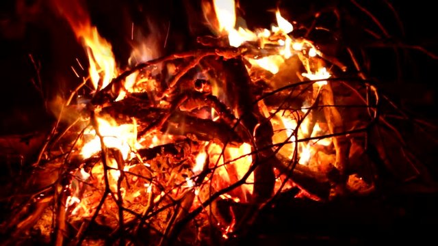 Campfire in the evening.