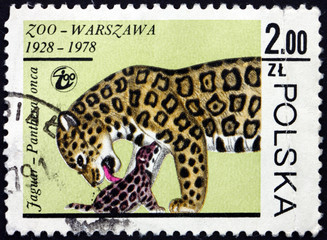 Postage stamp Poland 1978 Jaguar, wild cat