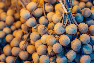 Longan in a fruit shop.