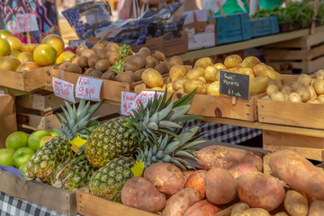 Crates filled with locally grown fresh produce line the shelves of the community farmers market. 