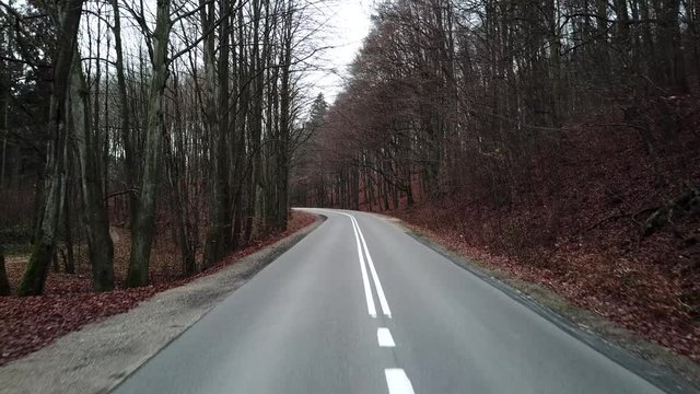 road forest roadway nature cars traffic street autumn asphalt