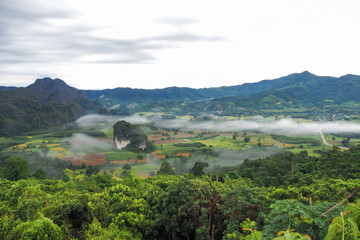 Fototapeta premium Landscape of Phu Lanka mountain forest park in Phayao province Thailand