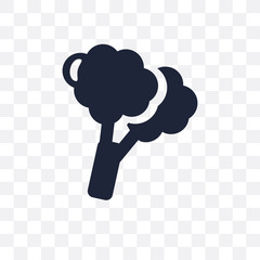 Broccoli transparent icon. Broccoli symbol design from Fruit and vegetables collection.