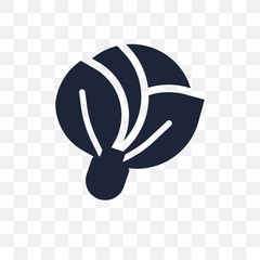 Cabbage transparent icon. Cabbage symbol design from Fruit and vegetables collection.