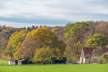 Bauernhof im Münsterland