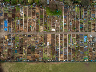 Aerial Plan View of Vegatable Allotments