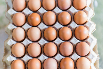 Top view of  eggs in the paper package with soft focus background