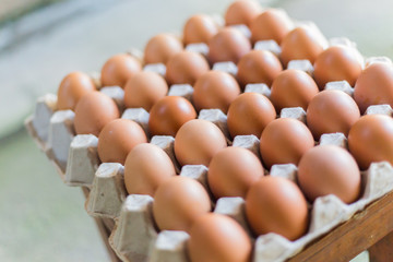 Top view of  eggs in the paper package with soft focus background