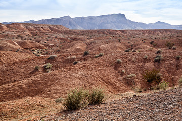 Shapes And Textures Of Stone Desert At Valley Of Fire, USA
