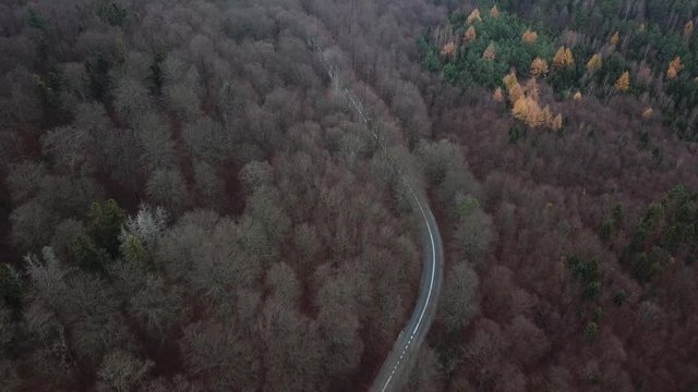 road forest roadway nature cars traffic street autumn asphalt