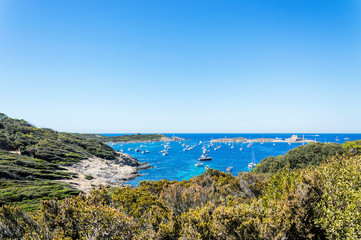 Seacoast in summer of the island of Porquerolles