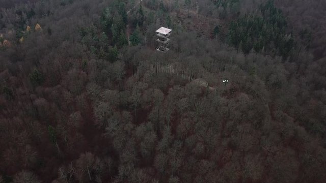 forest nature cars street autumn tower