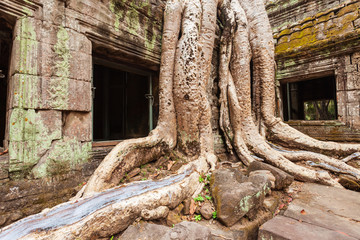 Obraz premium Angkor Wat temple, Siem Reap