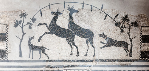 Hunting scene mosaic with dogs and deers