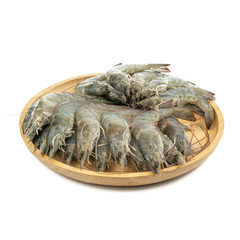 fresh shrimps or prawns raw isolated on white background.ready for cooking.