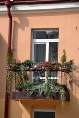 Fototapeta na wymiar Небольшой открытый балкончик старого дома, украшенный разнообразной растительностью