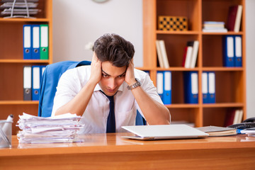 Young employee working in the office
