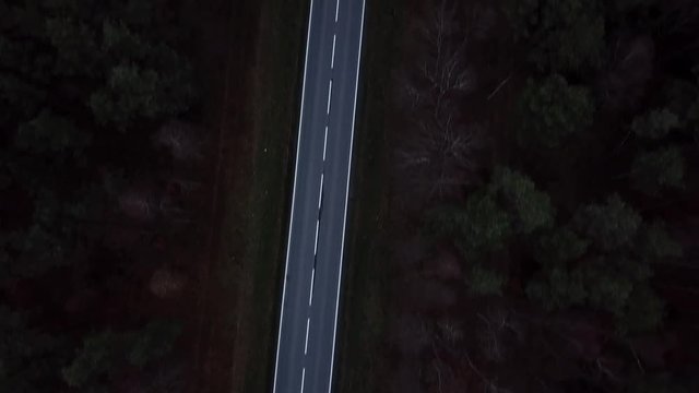 road forest roadway nature cars traffic street autumn asphalt