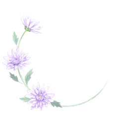 弔花のフレーム　菊　水彩