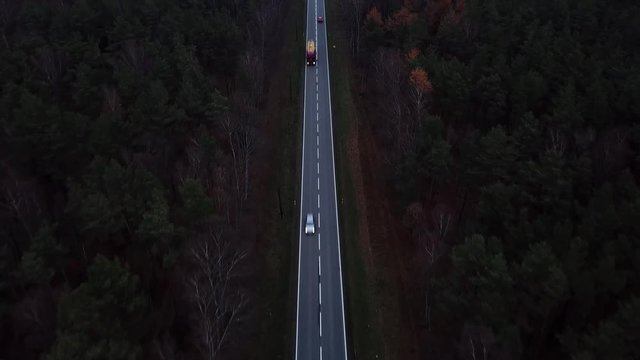road forest roadway nature cars traffic street autumn asphalt