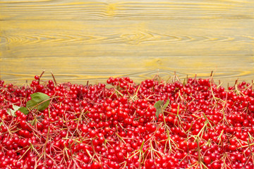 Много красных ягод калины на деревянном фоне.