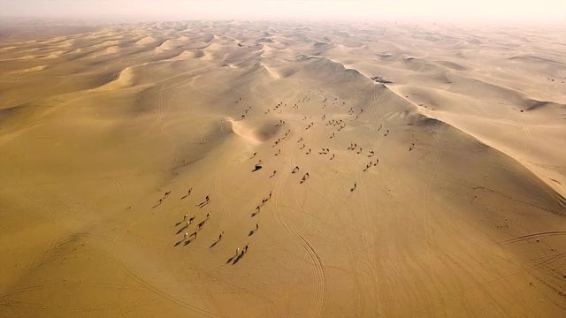 Al Qudra desert