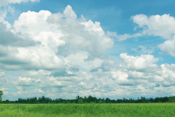 blue sky and cloud for nature landscape