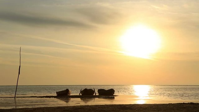 Boats near the sea at sunset
