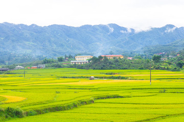 Beautiful view of rice terrace, mu cang chai, vietnam