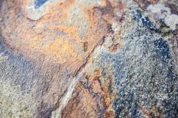 The surface of rock