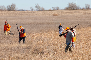 Hunting Pheasants in Eastern South Dakota during October