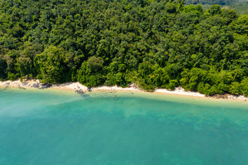 Aerial drone view of an empty tropical sandy beacj surrounded by lush green forest