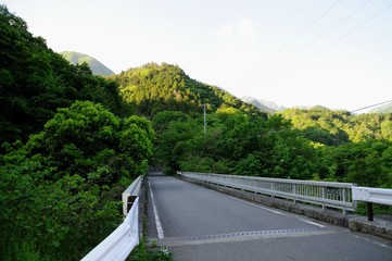 山の中の道