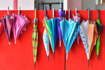Umbrellas Hanging on Wall