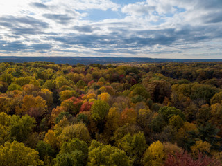 Fall Forest in Midwest Aerial Photography 