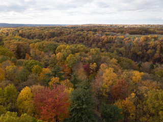 Obraz premium Fall Forest in Midwest Aerial Photography 