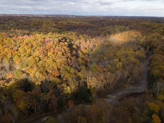 Fall Forest in Midwest Aerial Photography 