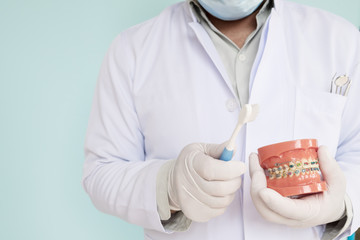 orthodontic model and dentist tool - demonstration teeth model of varities of orthodontic bracket or brace
