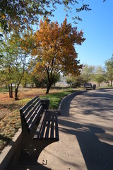 Naklejka premium Park