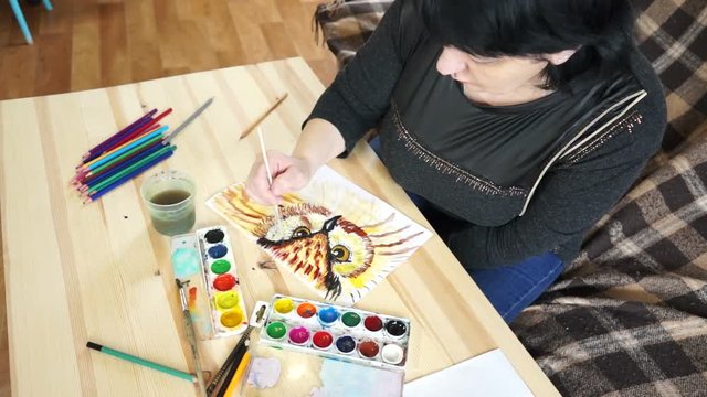 The artist draws the owl to the top view