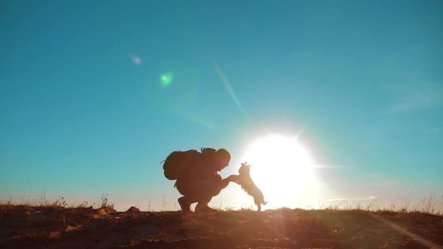 male man silhouette traveler raises the little Yorkshire terrier dog tourist with backpack sunlight stands on top of a mountain picks up a small dog . slow motion video. man silhouette at sunset