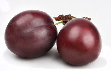 Plum isolated on a white background