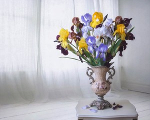 Still life with bouquet of beautiful flowers © Iryna