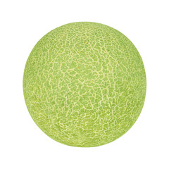 melon fruit on white background