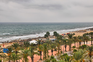 Beach alley with Date Palms in Hammamet, Tunisia, Mediterranean