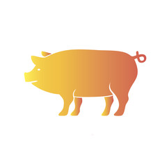 Pig icon. Colourful red, blue, green, yellow, gold pig. New Year. The year of the pig.