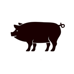 Pig icon. Colourful red, blue, green, yellow, gold pig. New Year. The year of the pig.