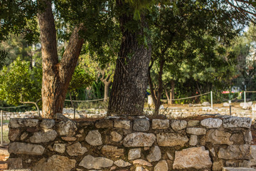 park outdoor nature environment with stone wall bench under trees landscape design 