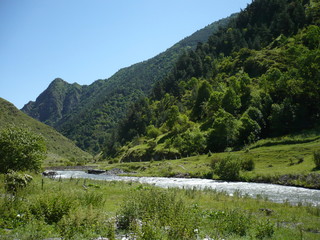 Fototapeta na wymiar Beautiful view of mountain stream in summer. Caucasus mountains.